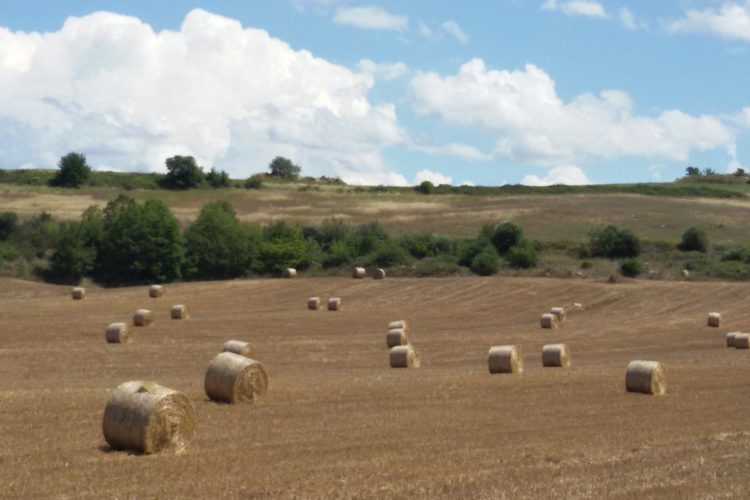 viaggio in maremma